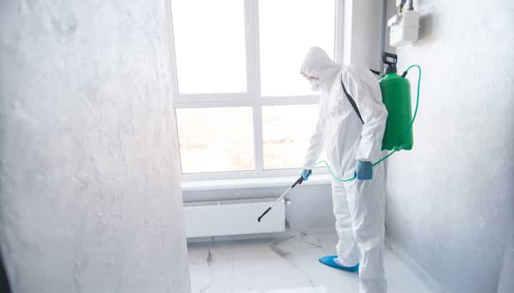 Mold Inspection Services in Lynnview