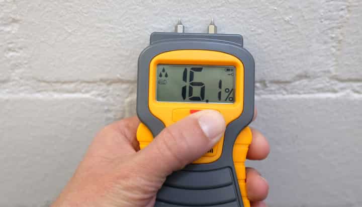 Mold Testing in Lynnview