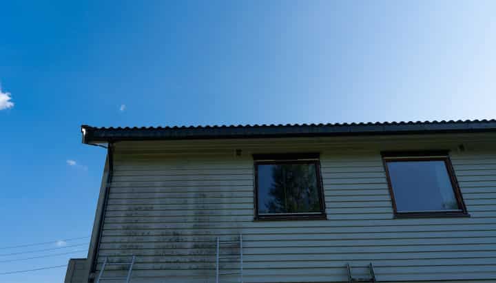 Residential Mold Removal Services in Lynnview